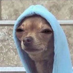 Meet your Posher, Hailey